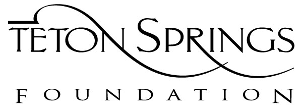 ts-foundation-logo ts-foundation-logo